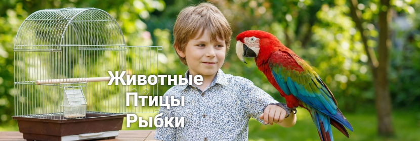 мальчик с попугаем