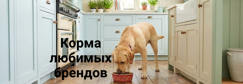 Оксана